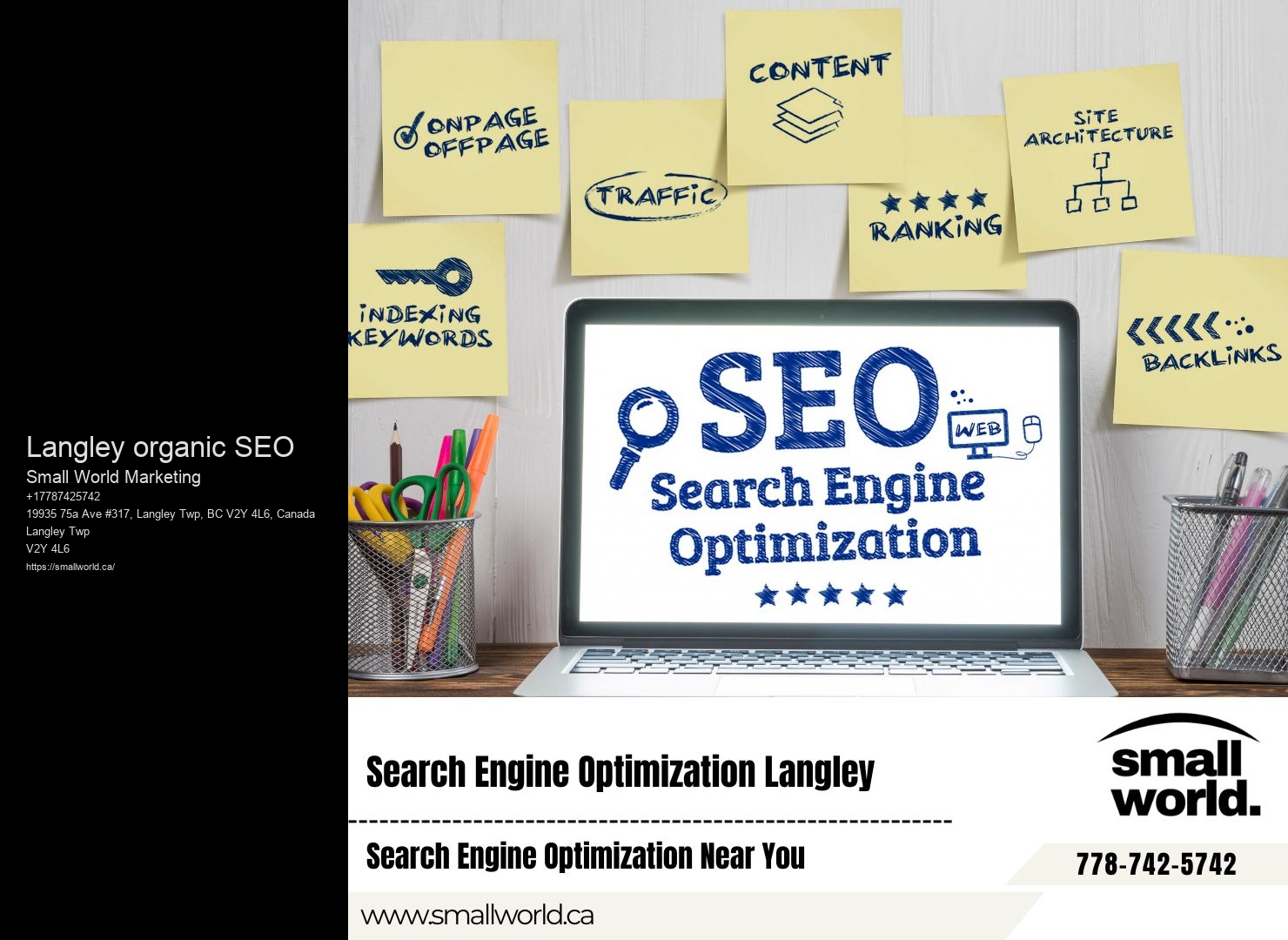Langley organic SEO SEO consultant services