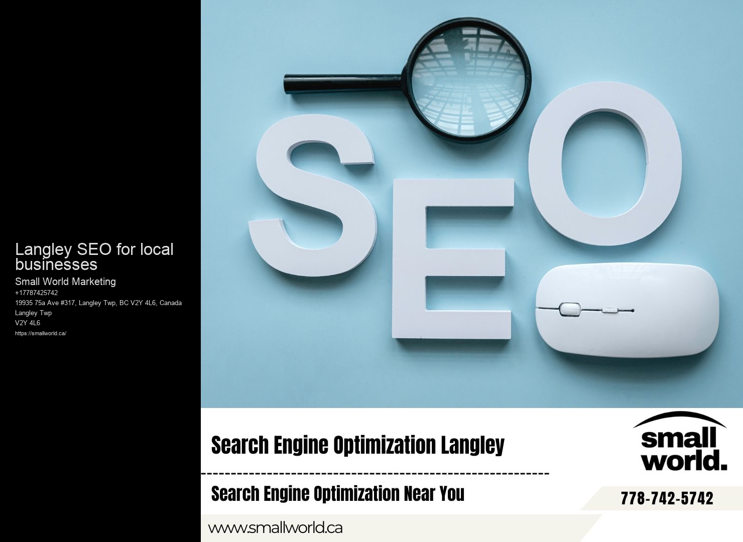 Langley SEO for local businesses SEO reviews