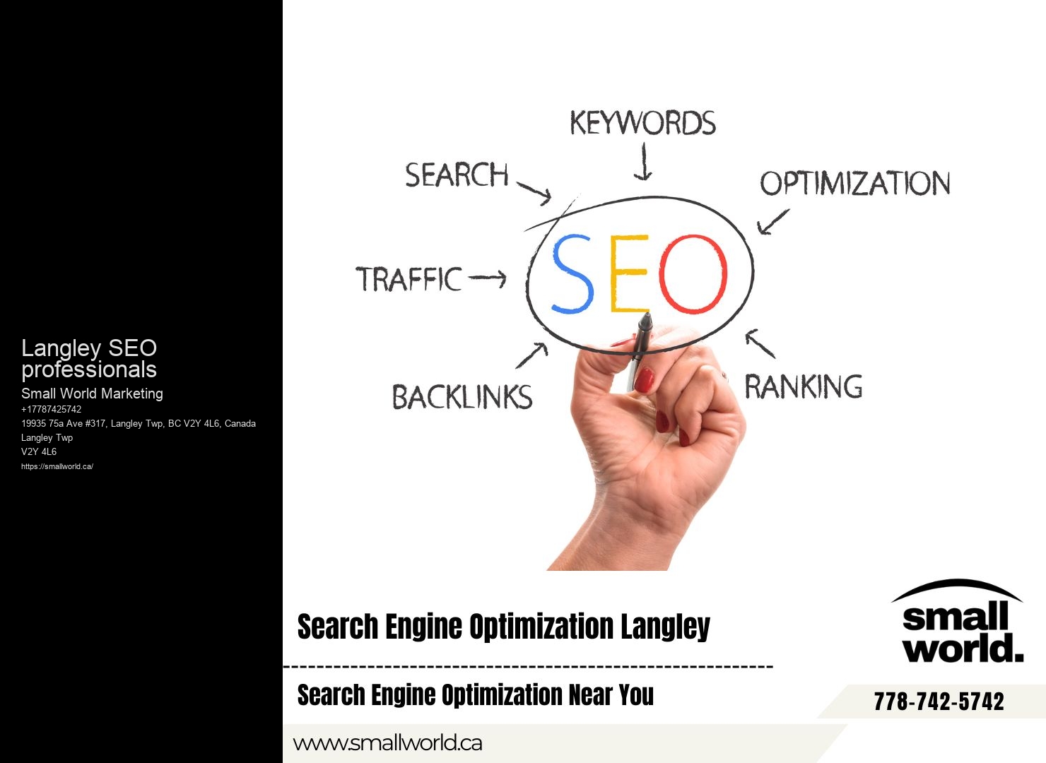 Langley SEO professionals