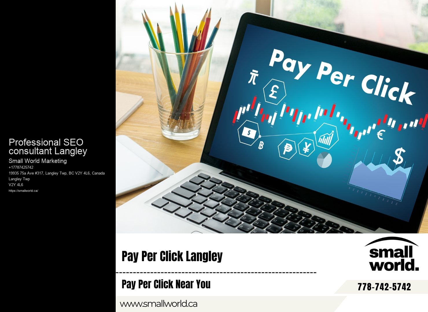 Professional SEO consultant Langley SEO agency insights