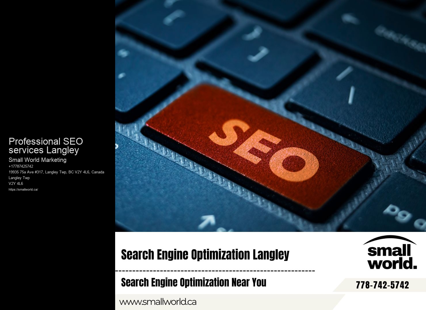 Professional SEO services Langley SEO improvement techniques