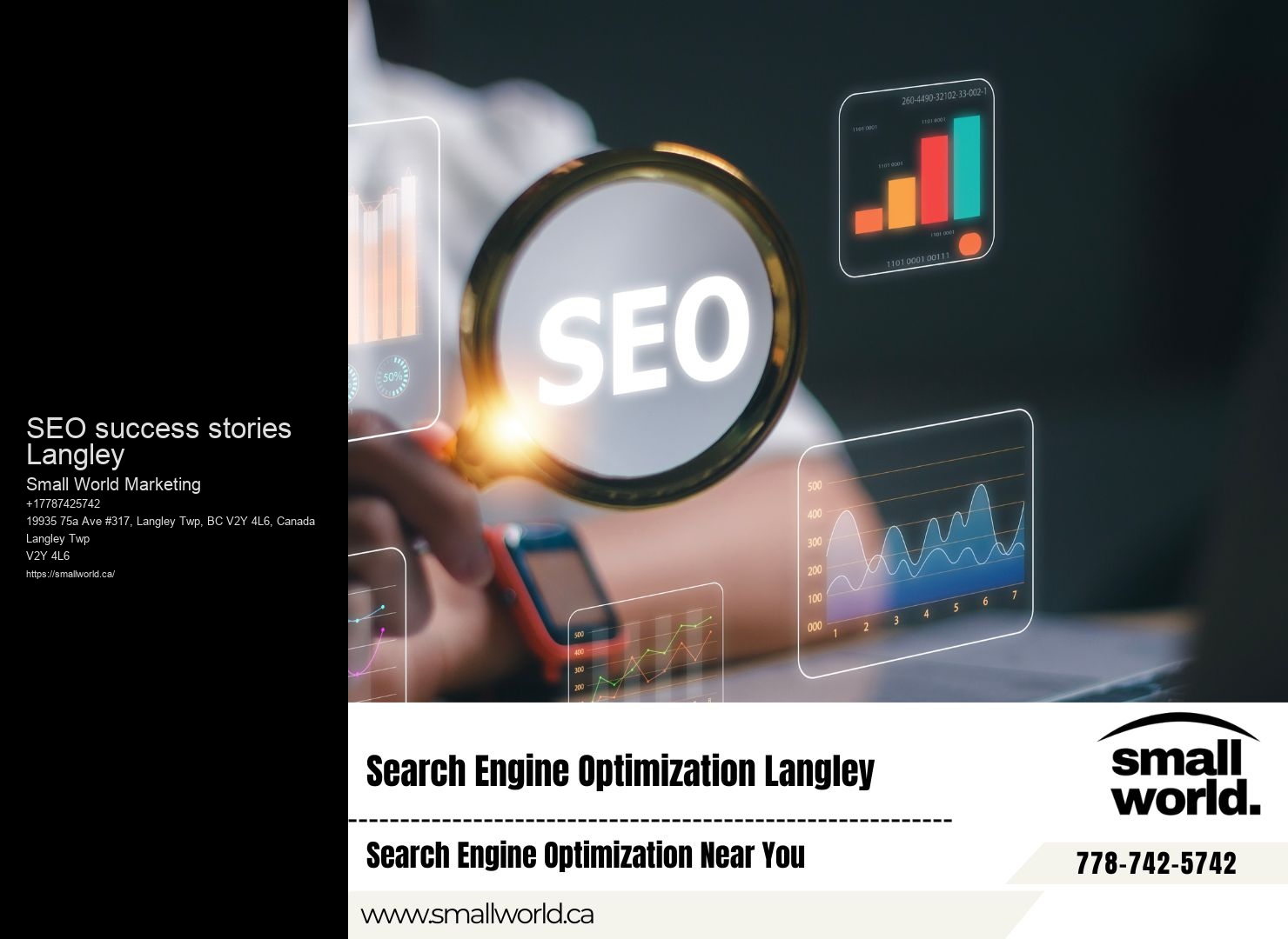 SEO success stories Langley SEO strategy development