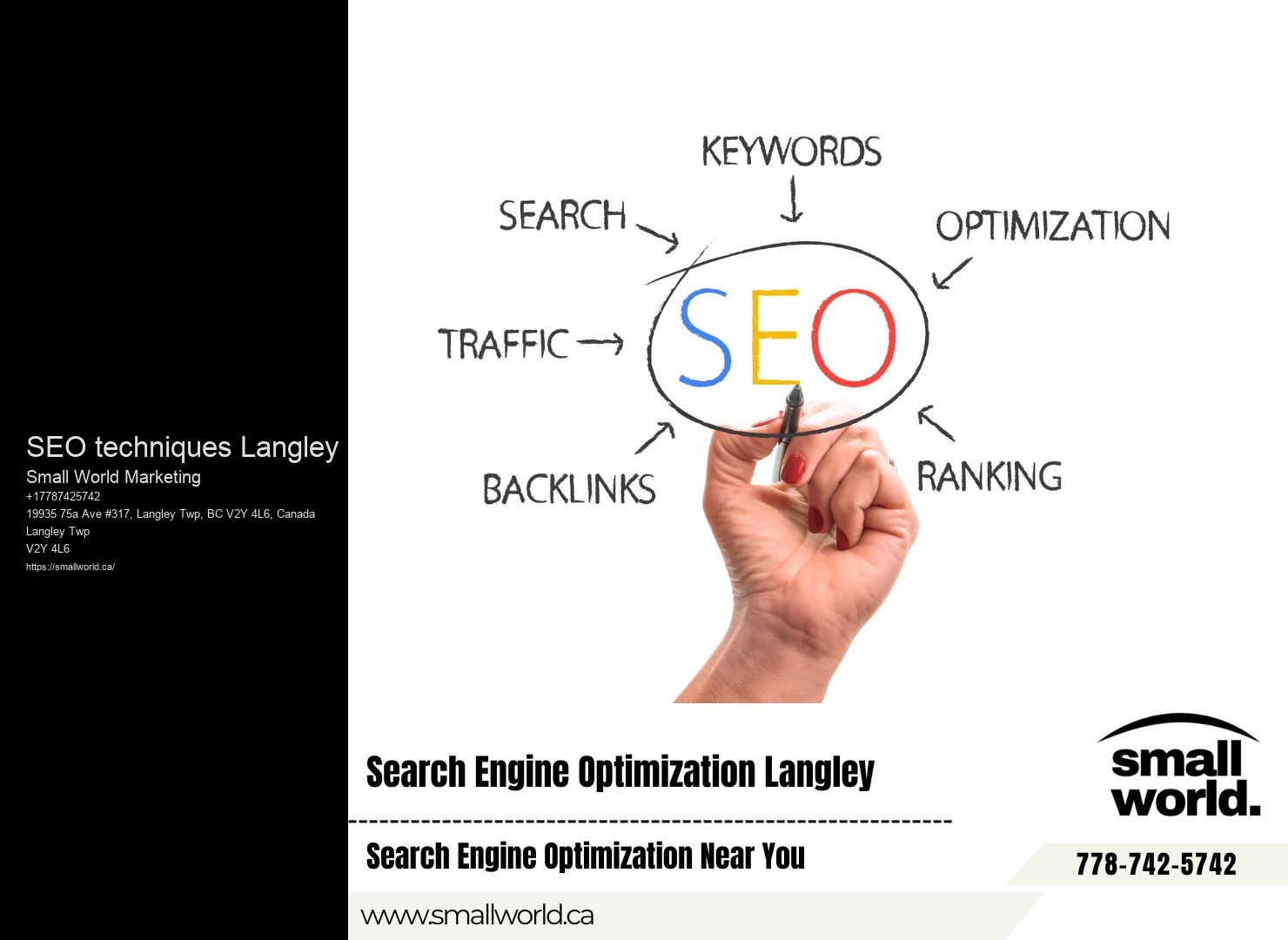 SEO techniques Langley