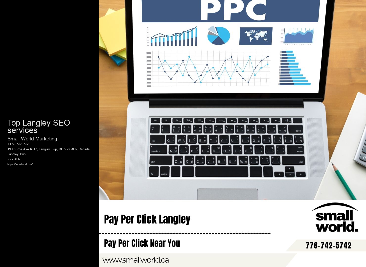 Top SEO companies in Top Langley SEO services