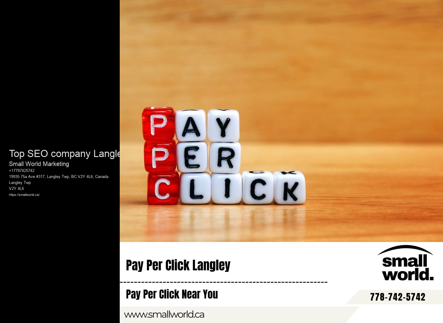 Top SEO company Langley Online SEO Services